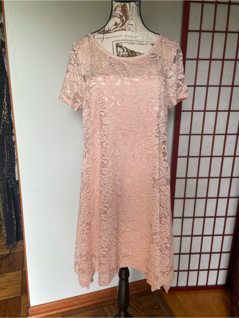 NWOT Roz & Ali Lace Overlay Short Sleeve A-Line Dress, Size Petite L